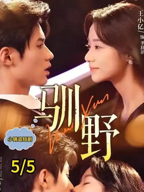 专栏《片种标签手册》示意图